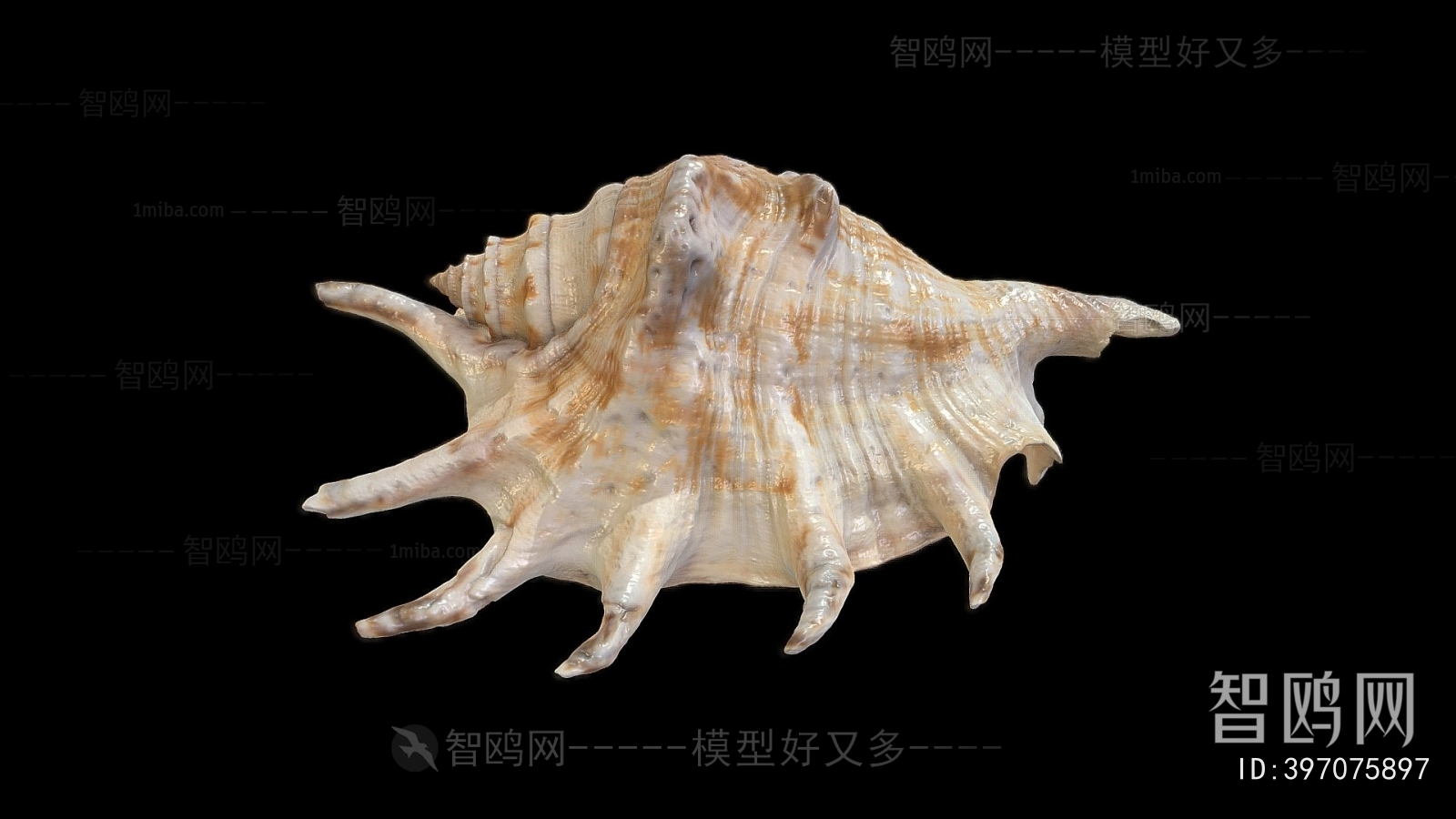 Modern Aquatic Animals