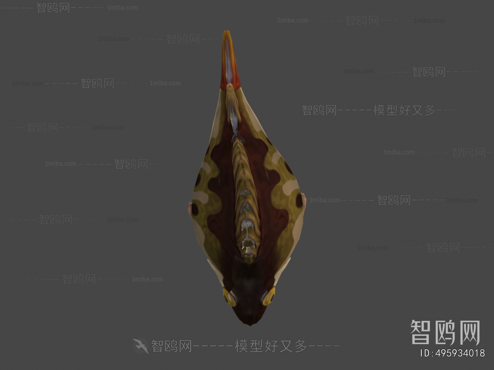 Modern Aquatic Animals