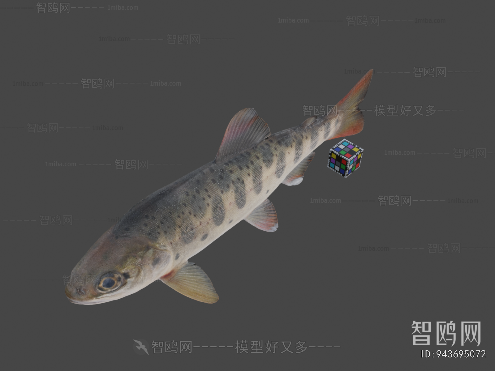 Modern Aquatic Animals