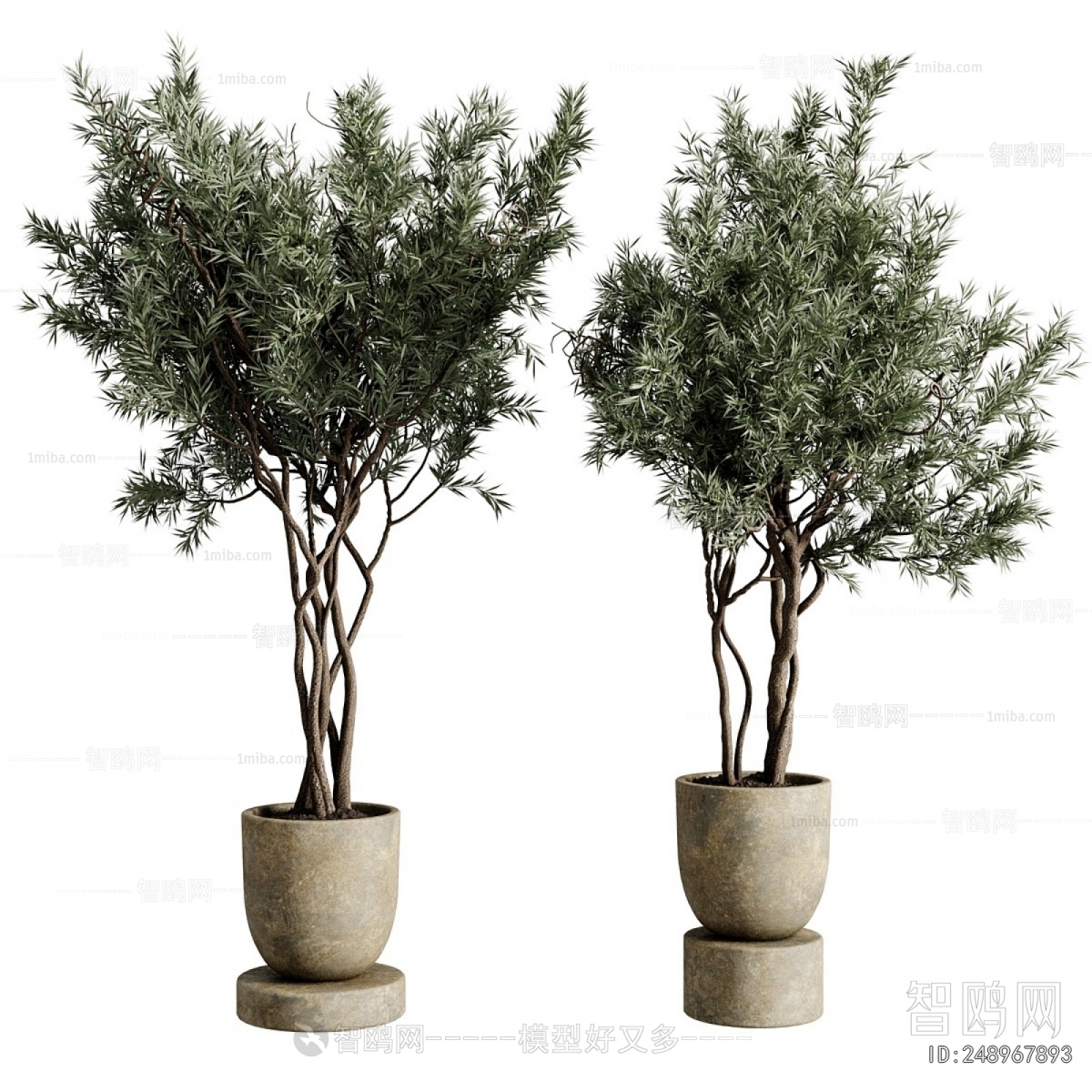 Modern Ground Green Plant Potted Plants