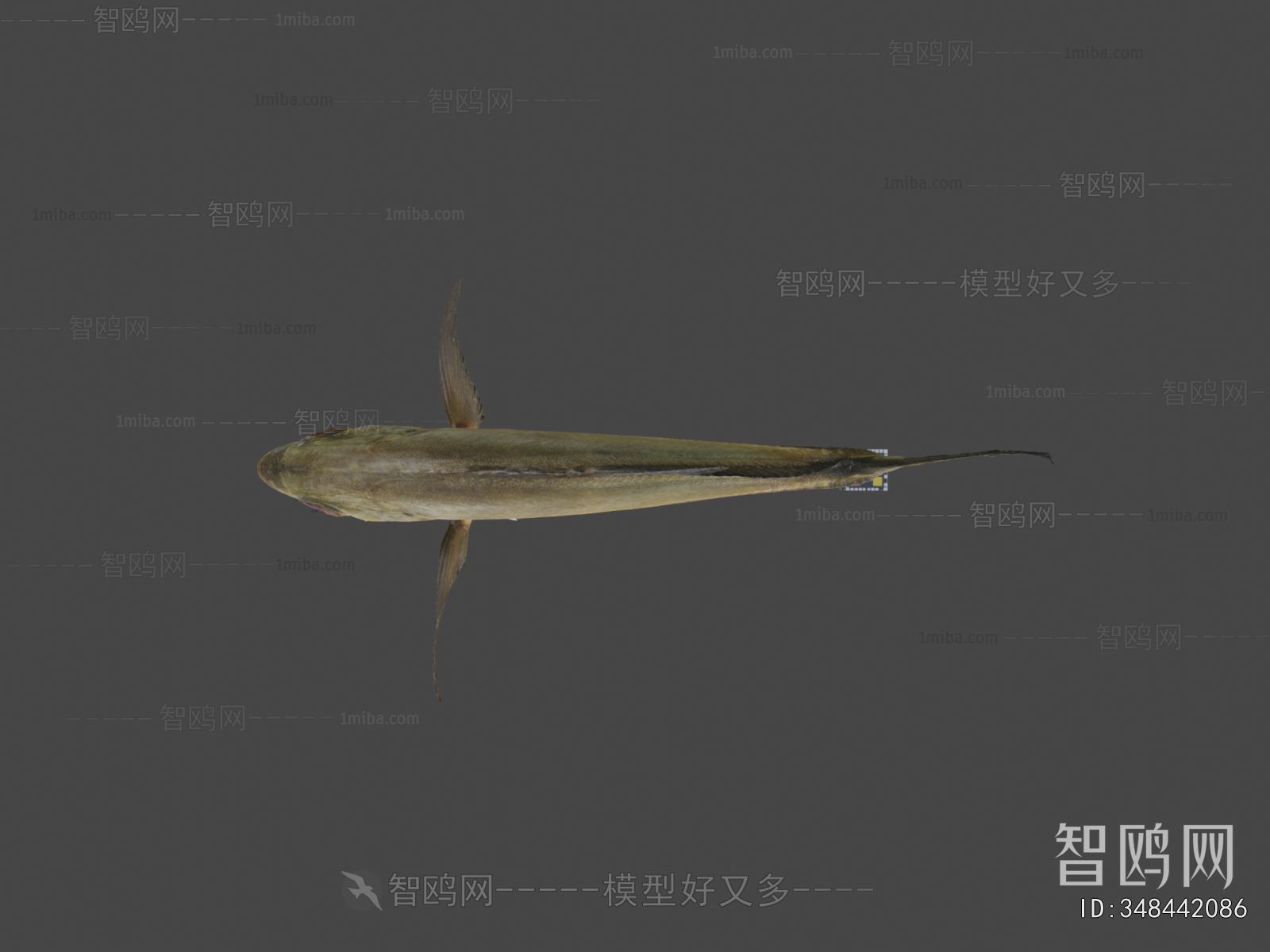 Modern Aquatic Product