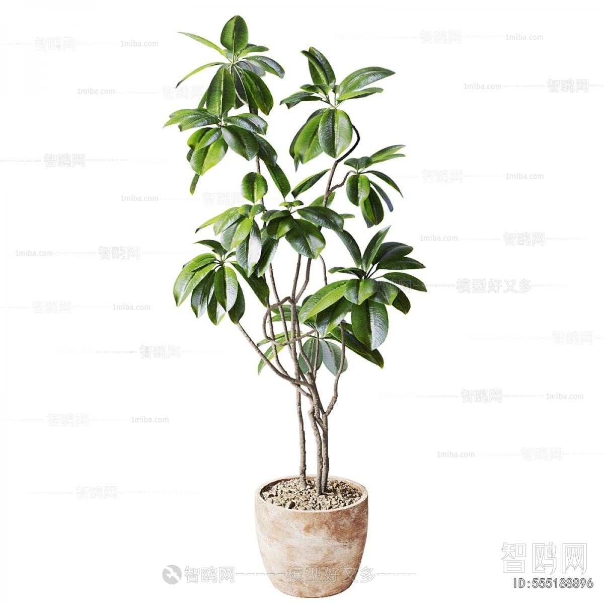 Modern Ground Green Plant Potted Plants