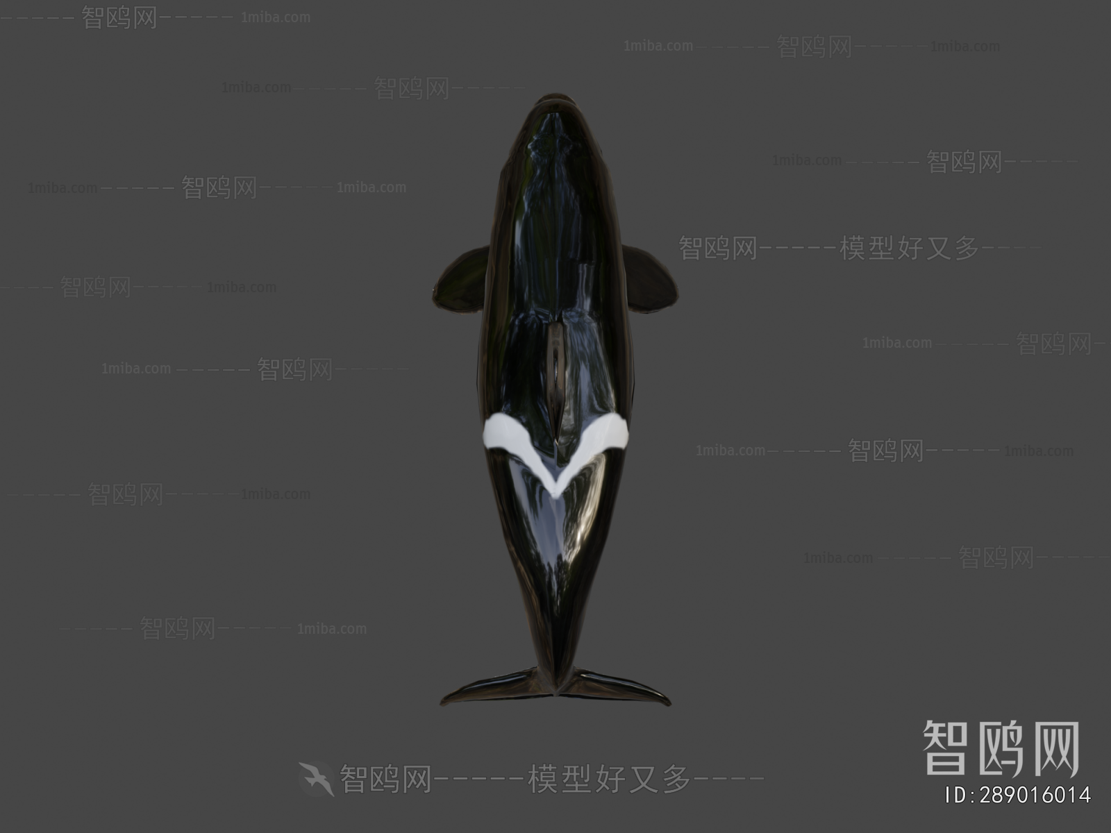 Modern Aquatic Animals