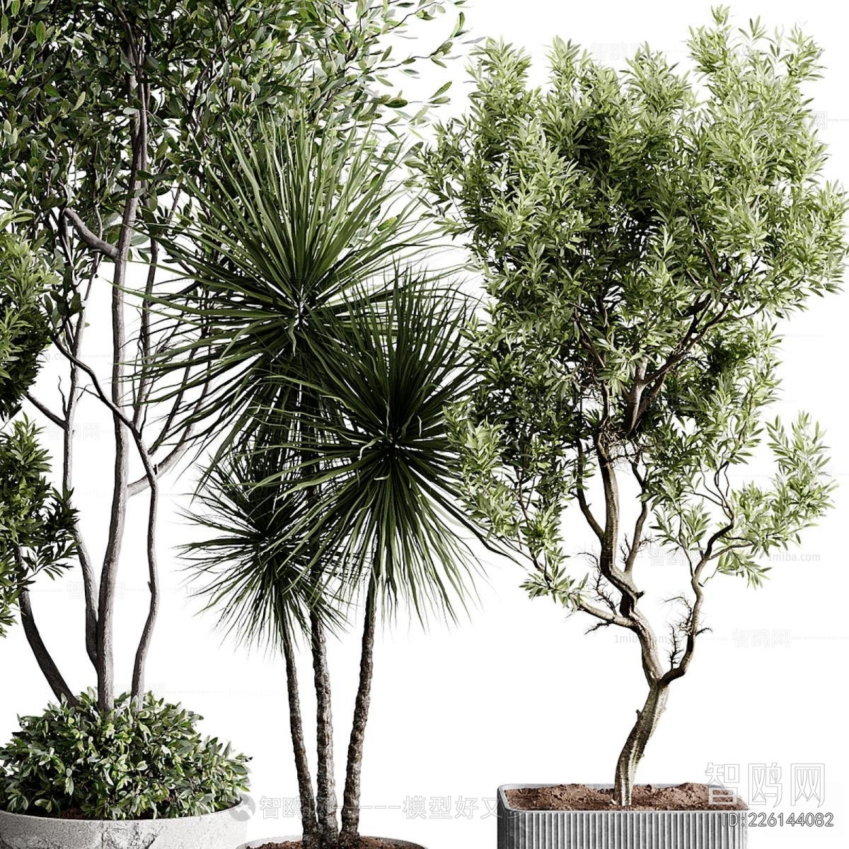 Modern Ground Green Plant Potted Plants
