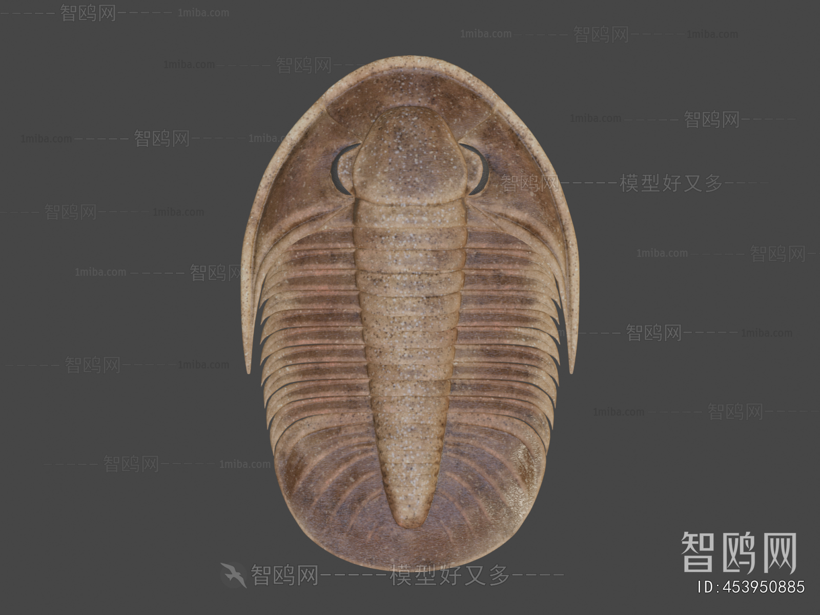 Modern Other Animals