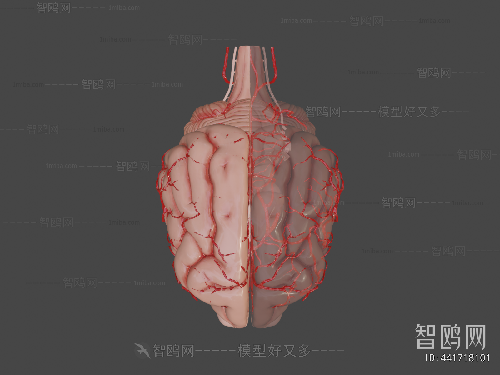 Modern Medical Equipment