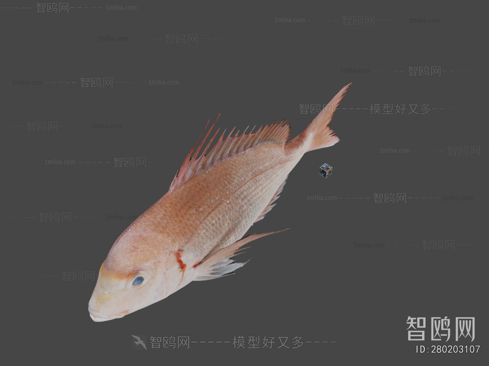 Modern Aquatic Animals