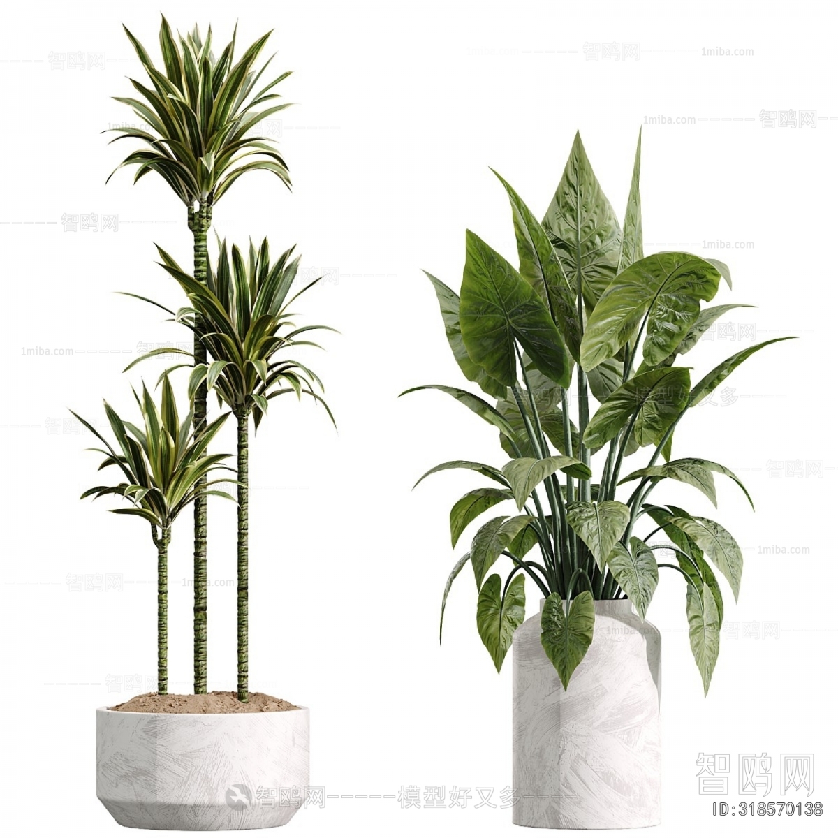 Modern Ground Green Plant Potted Plants