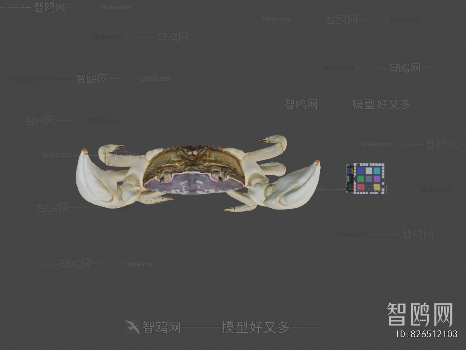 Modern Aquatic Animals