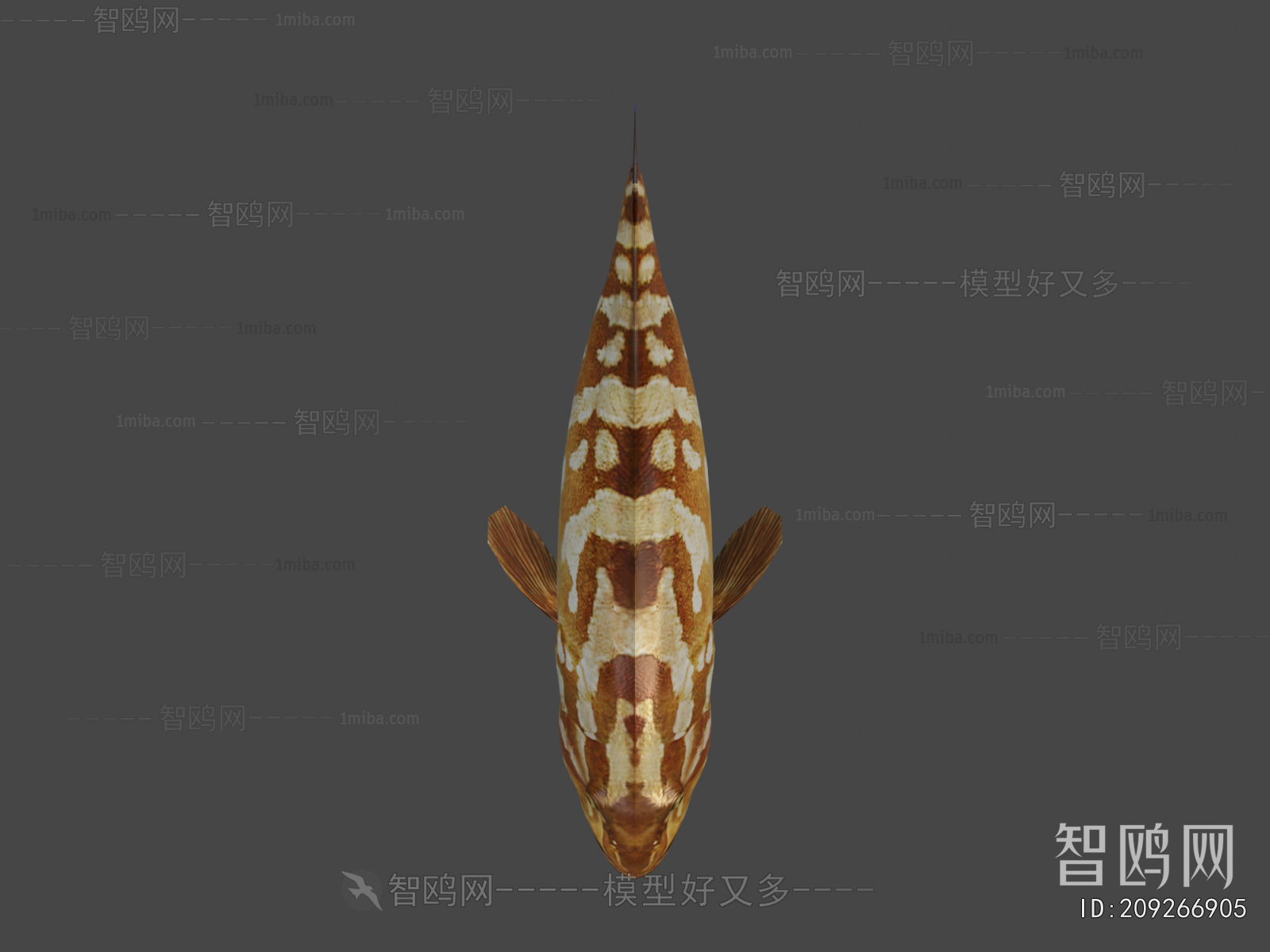 Modern Aquatic Animals