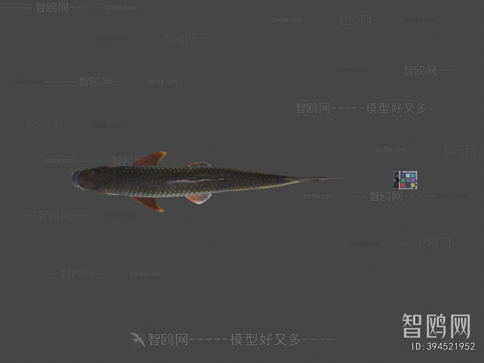 Modern Aquatic Animals