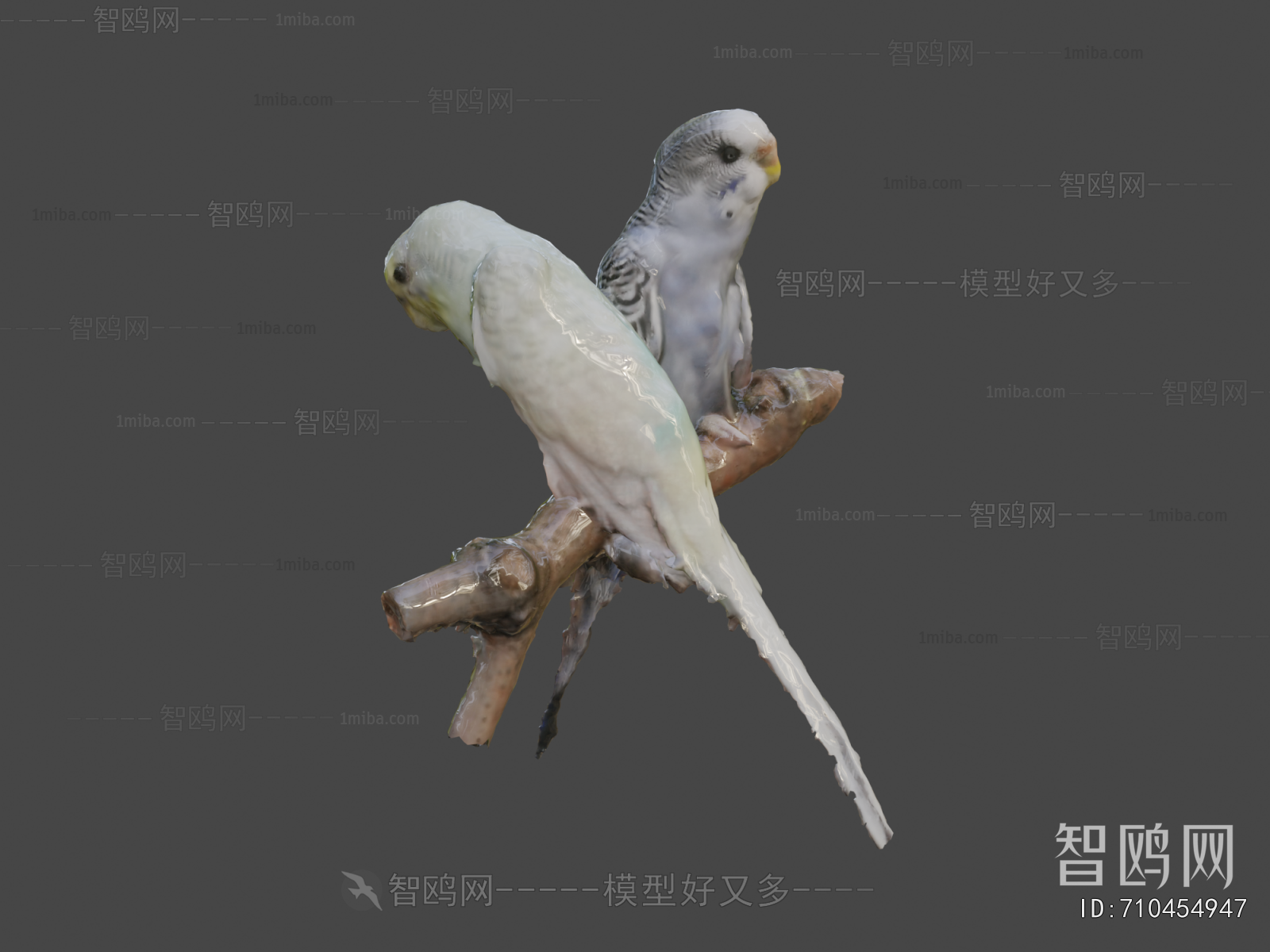 Modern Flying Animals