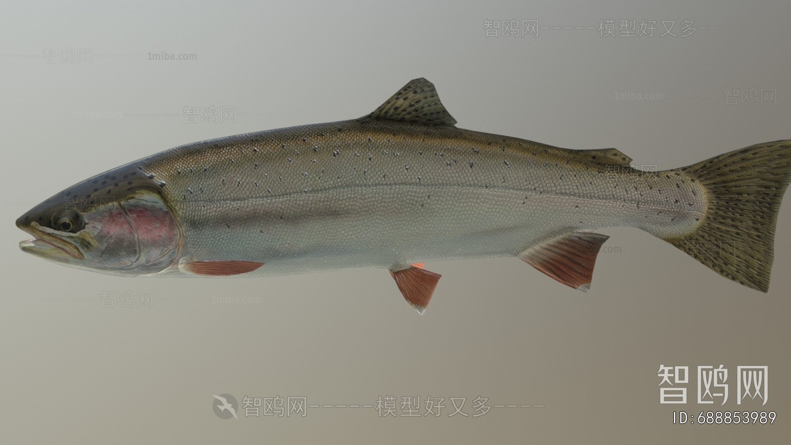 Modern Aquatic Product