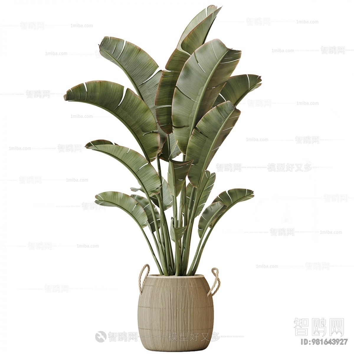 Modern Ground Green Plant Potted Plants