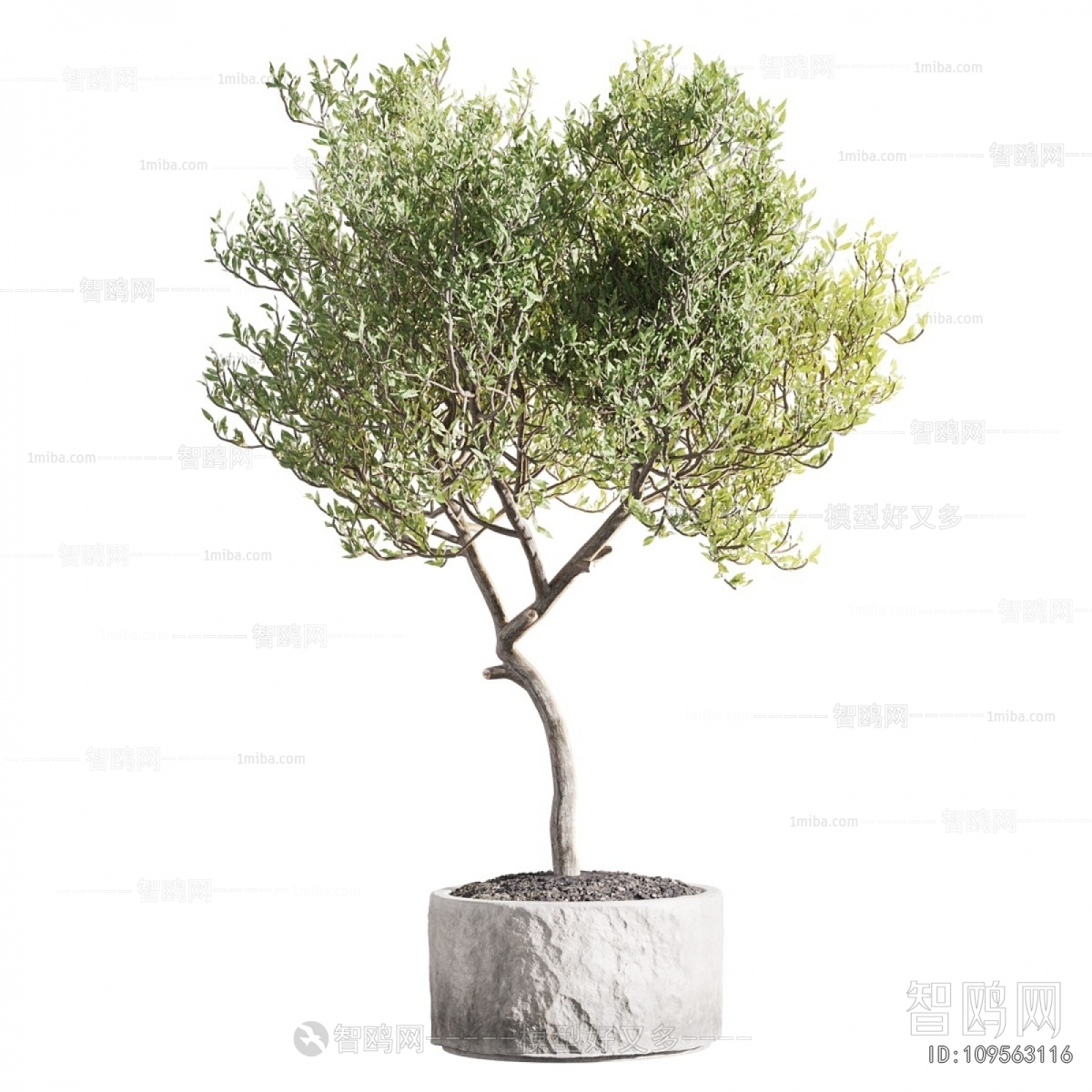 Modern Ground Green Plant Potted Plants