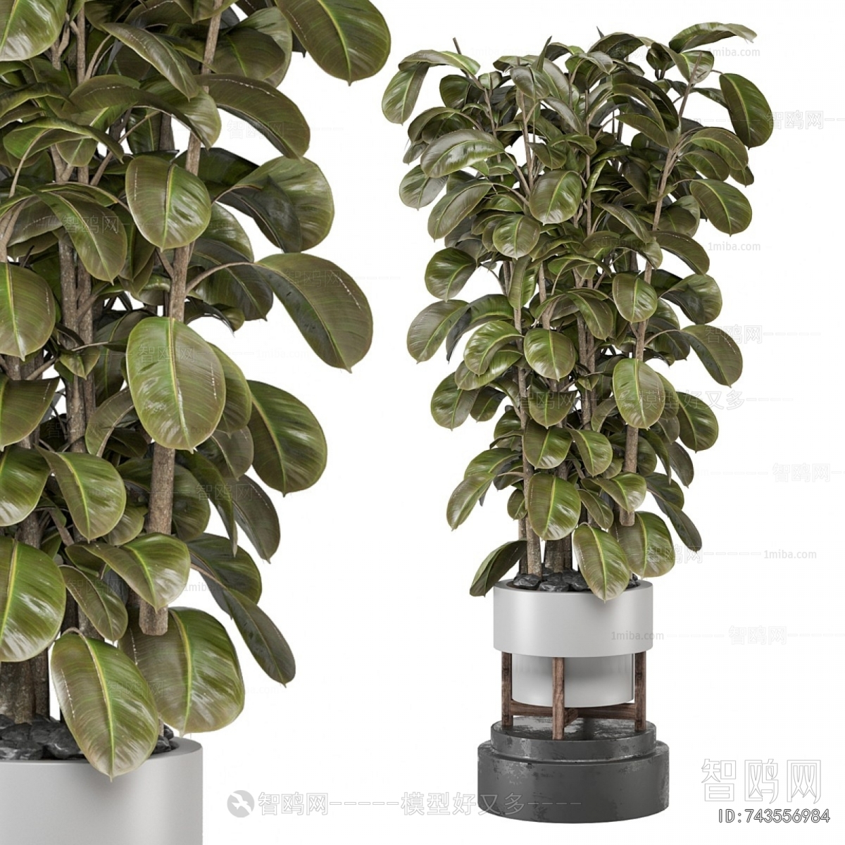 Modern Ground Green Plant Potted Plants