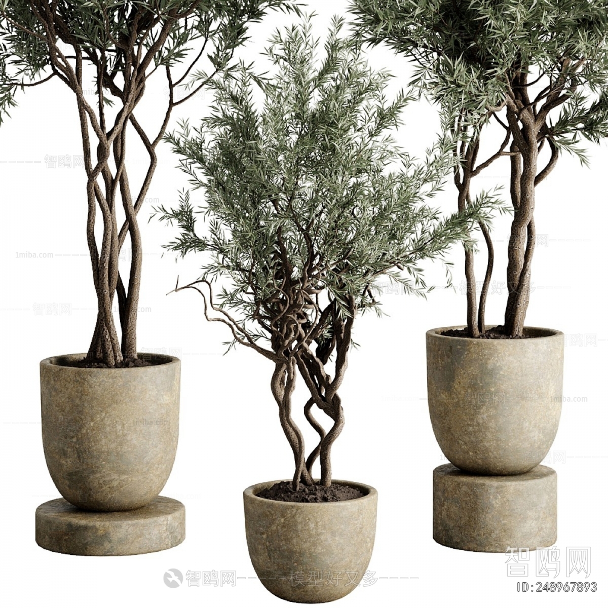 Modern Ground Green Plant Potted Plants