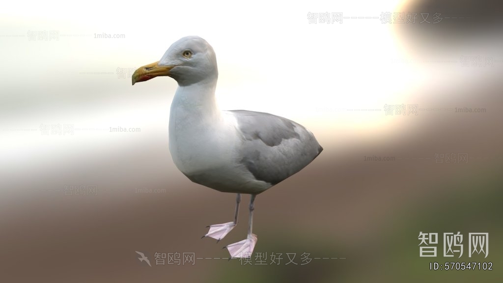 Modern Flying Animals