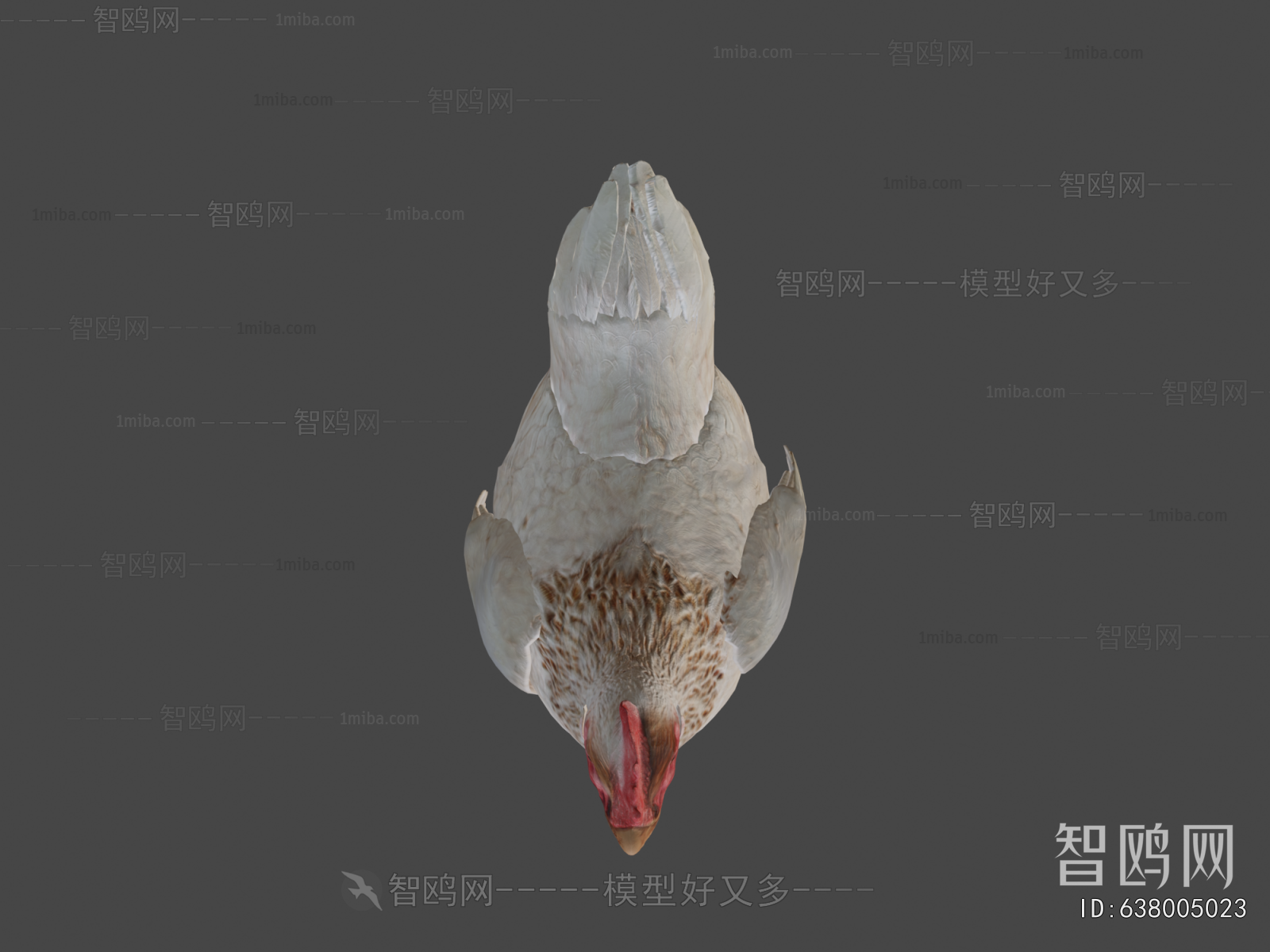 Modern Poultry Animal