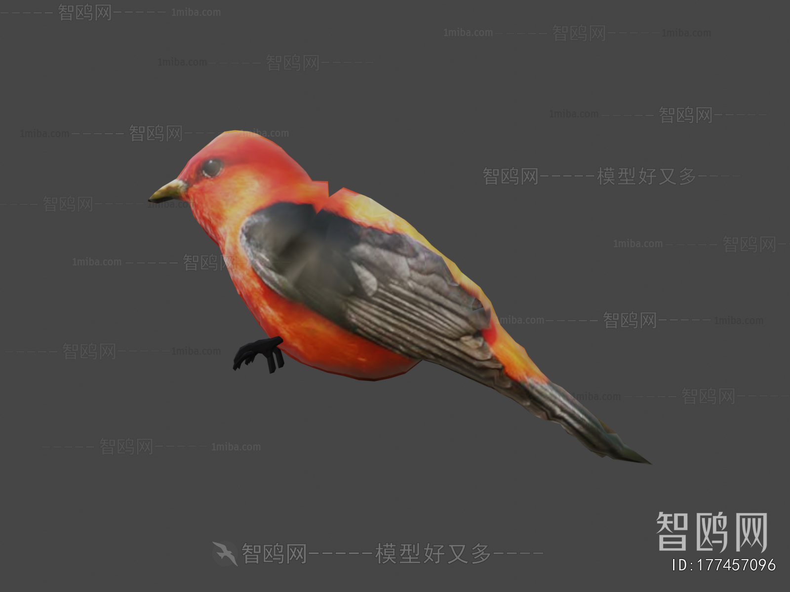 Modern Flying Animals