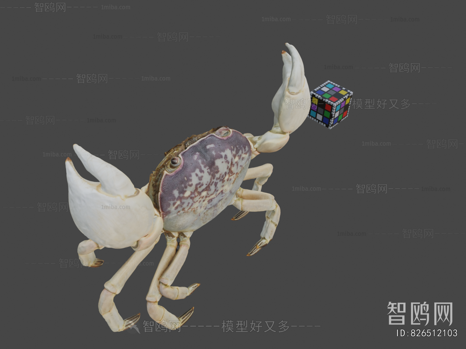 Modern Aquatic Animals