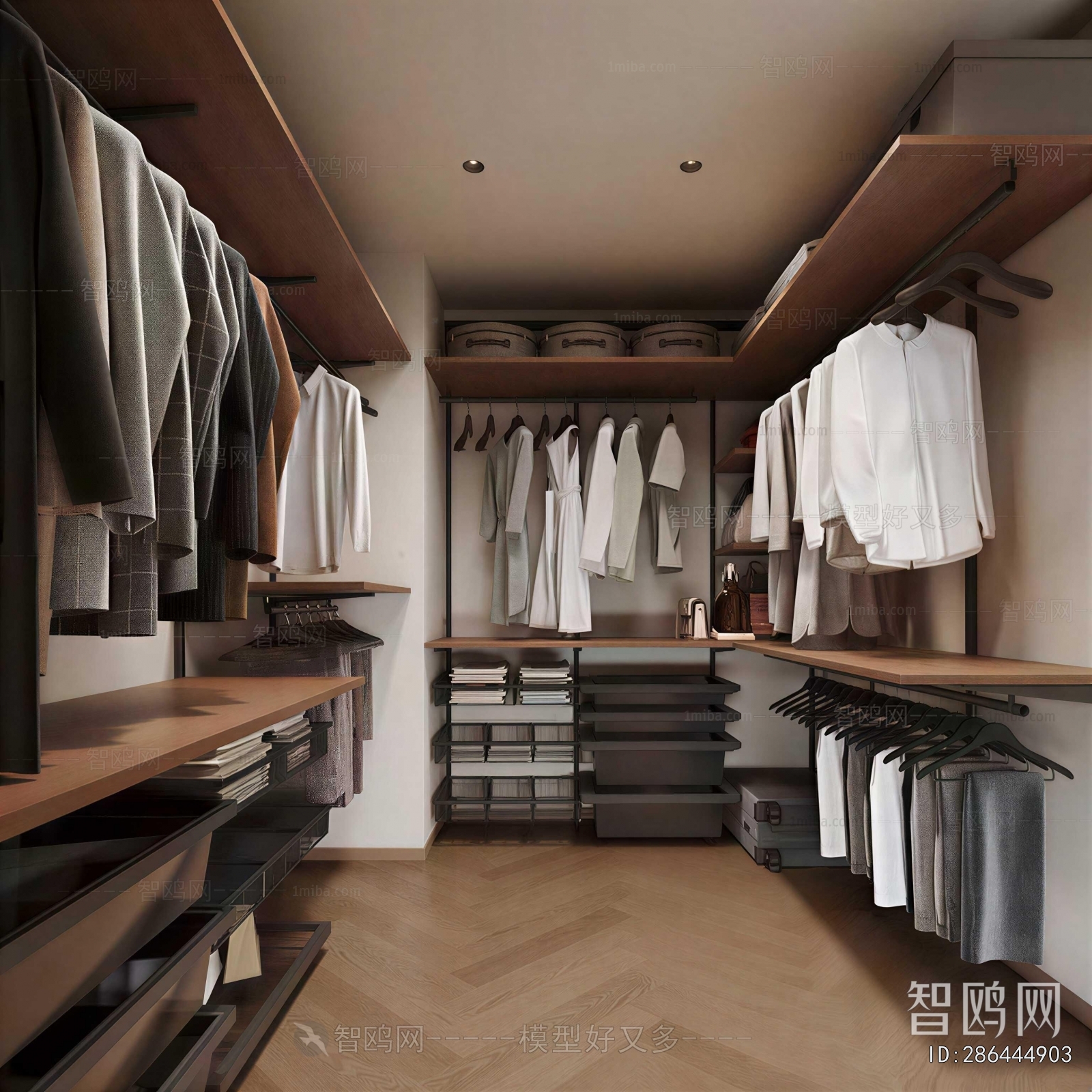 Modern Clothes Storage Area