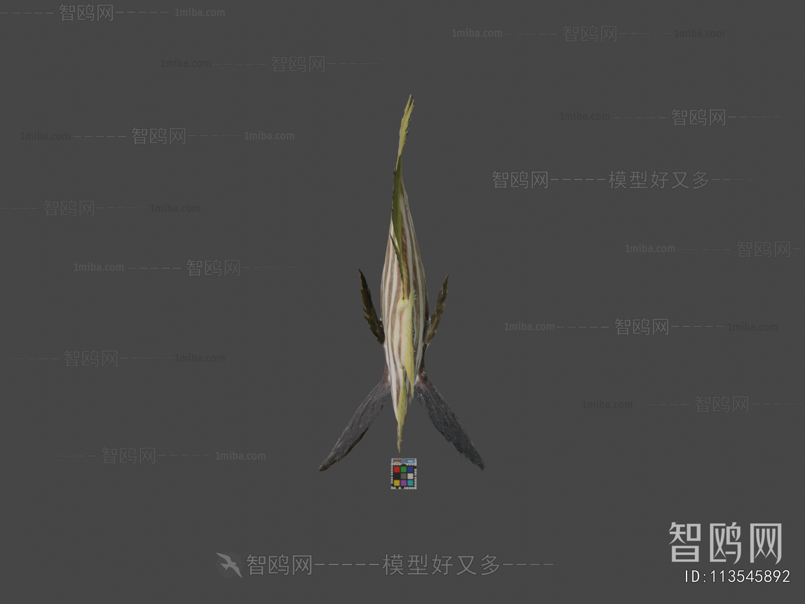 Modern Aquatic Animals