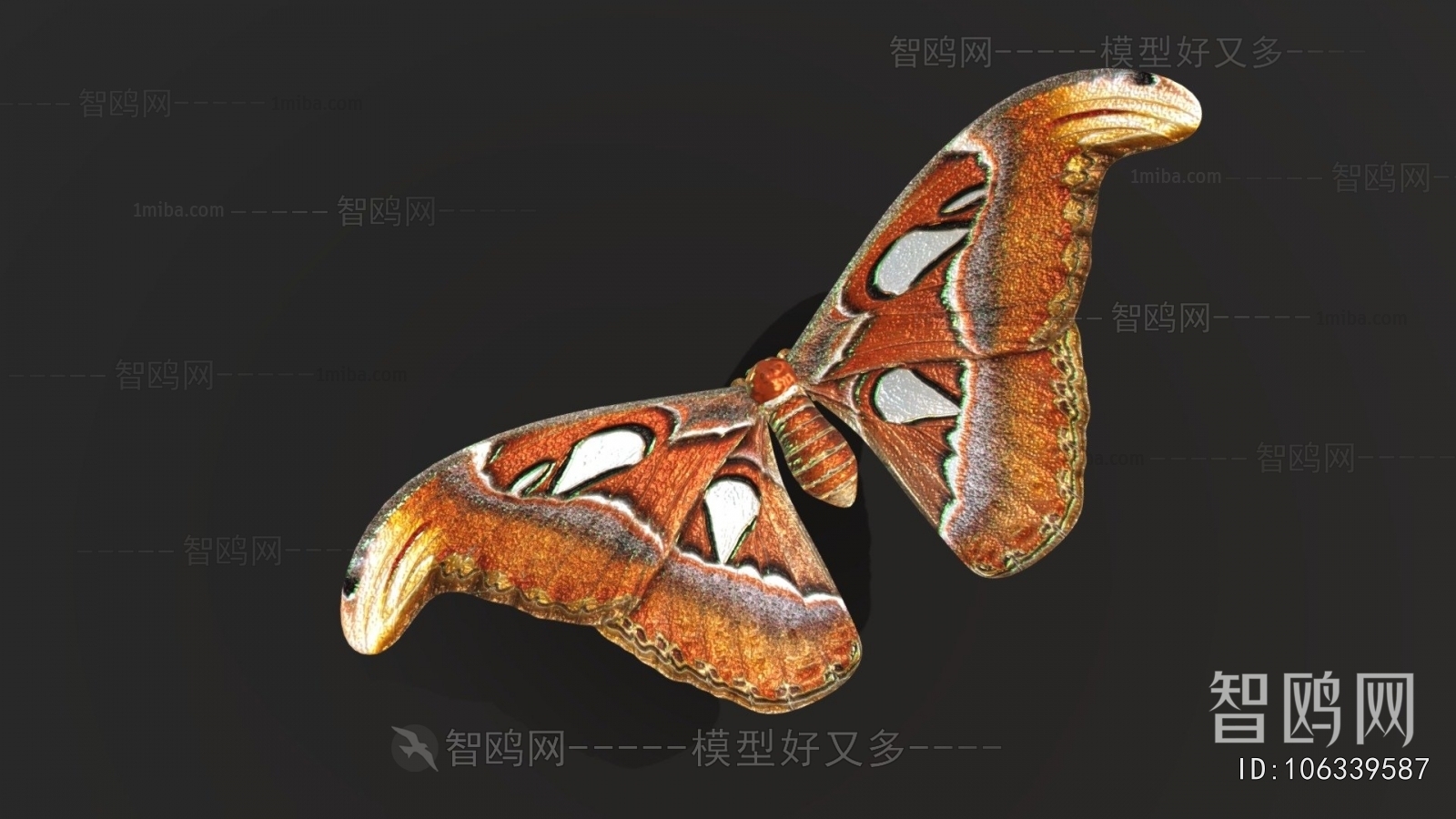 Modern Flying Animals