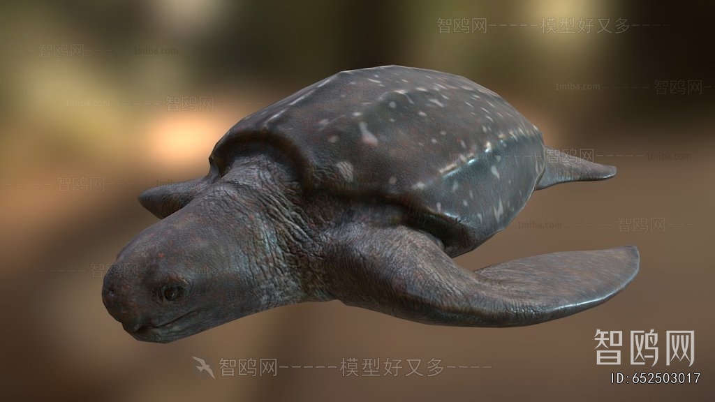 Modern Aquatic Animals