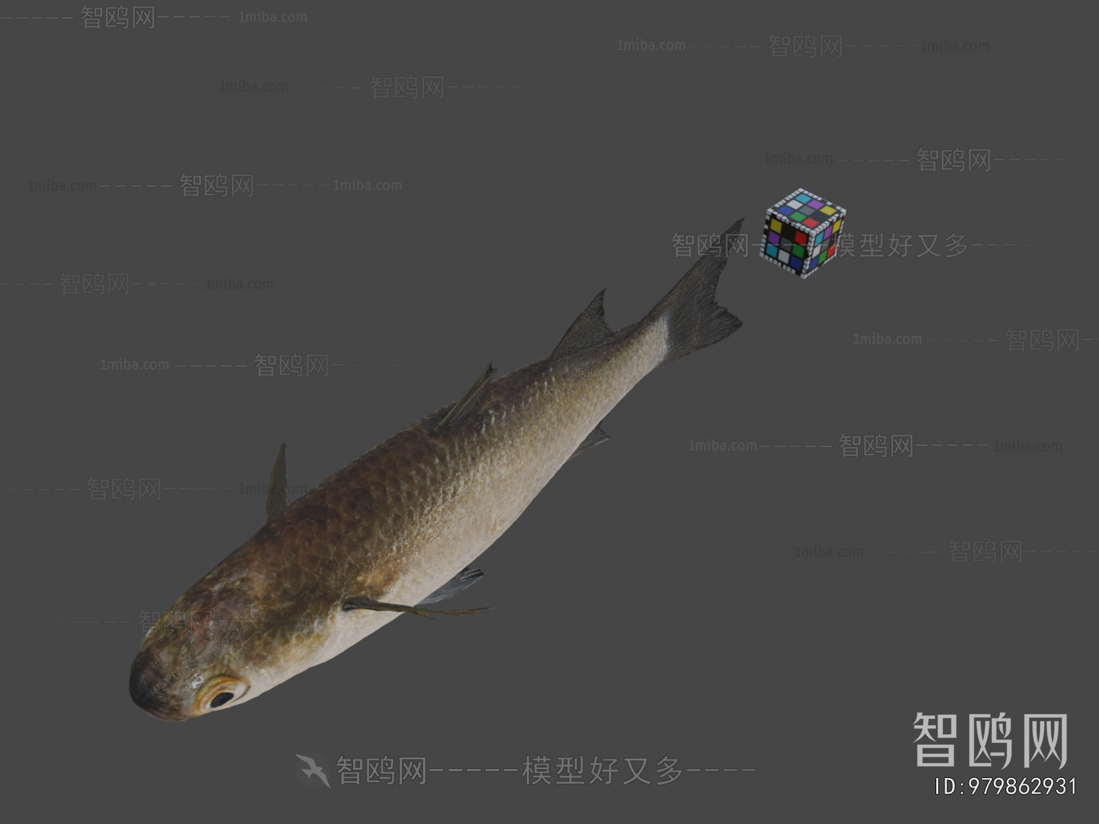 Modern Aquatic Animals