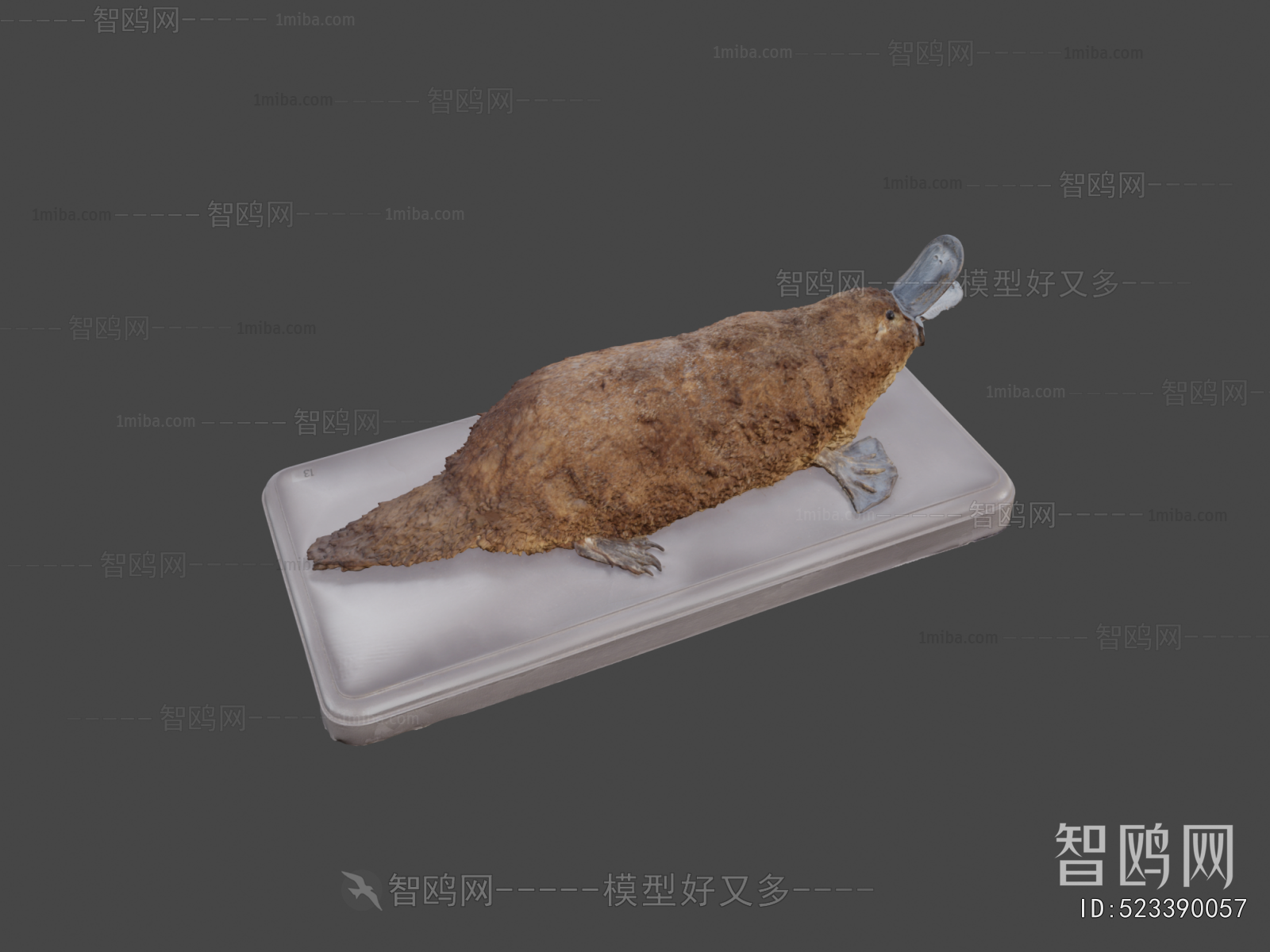 Modern Other Animals