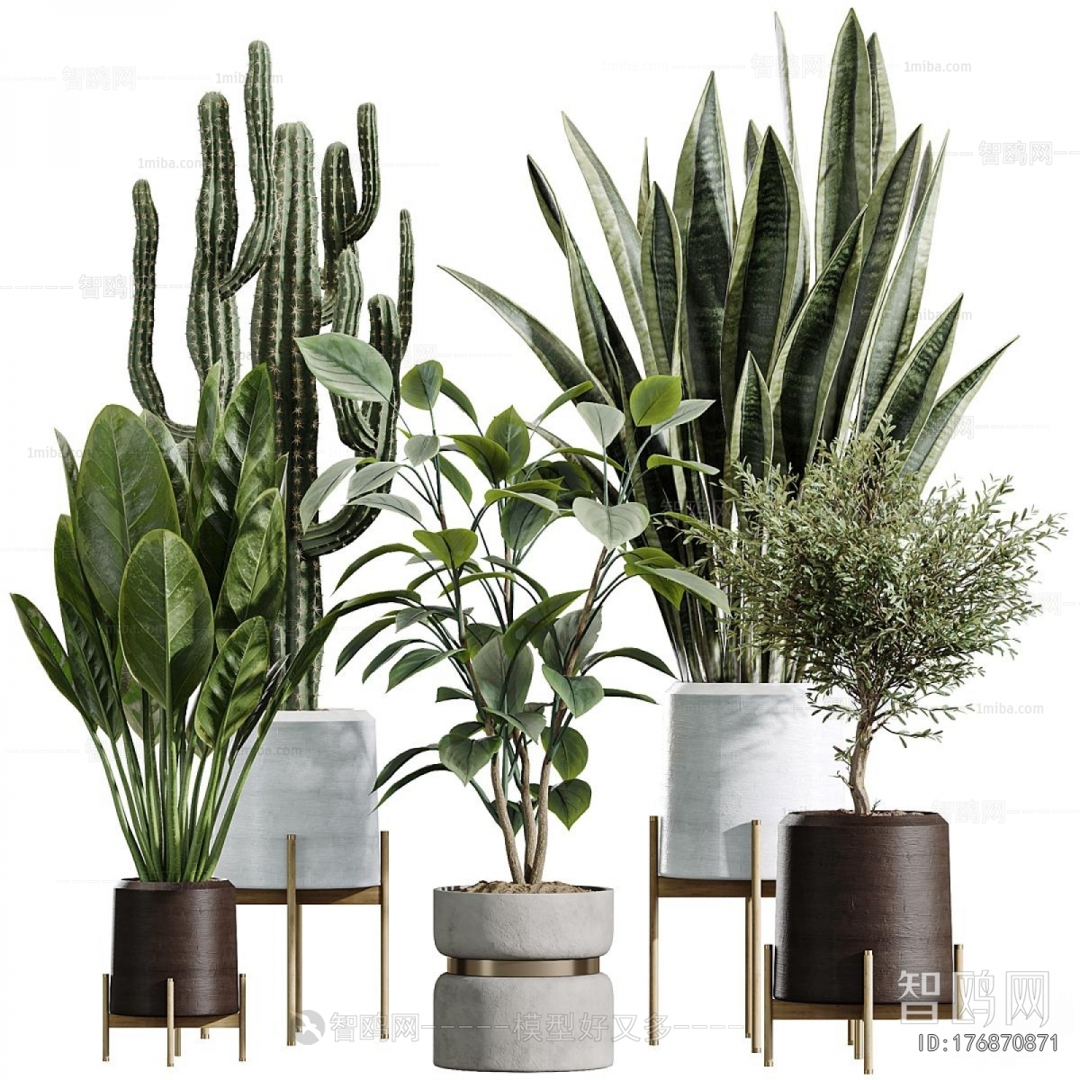 Modern Potted Green Plant