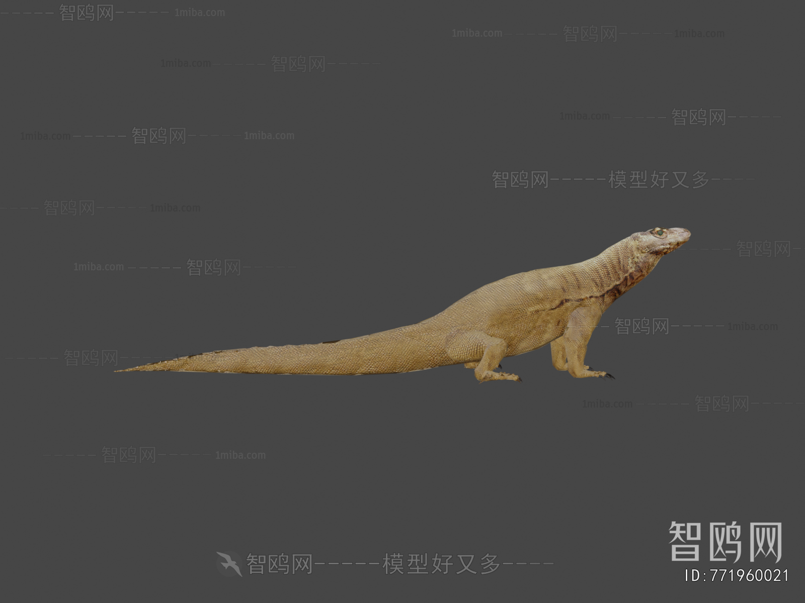 Modern Other Animals