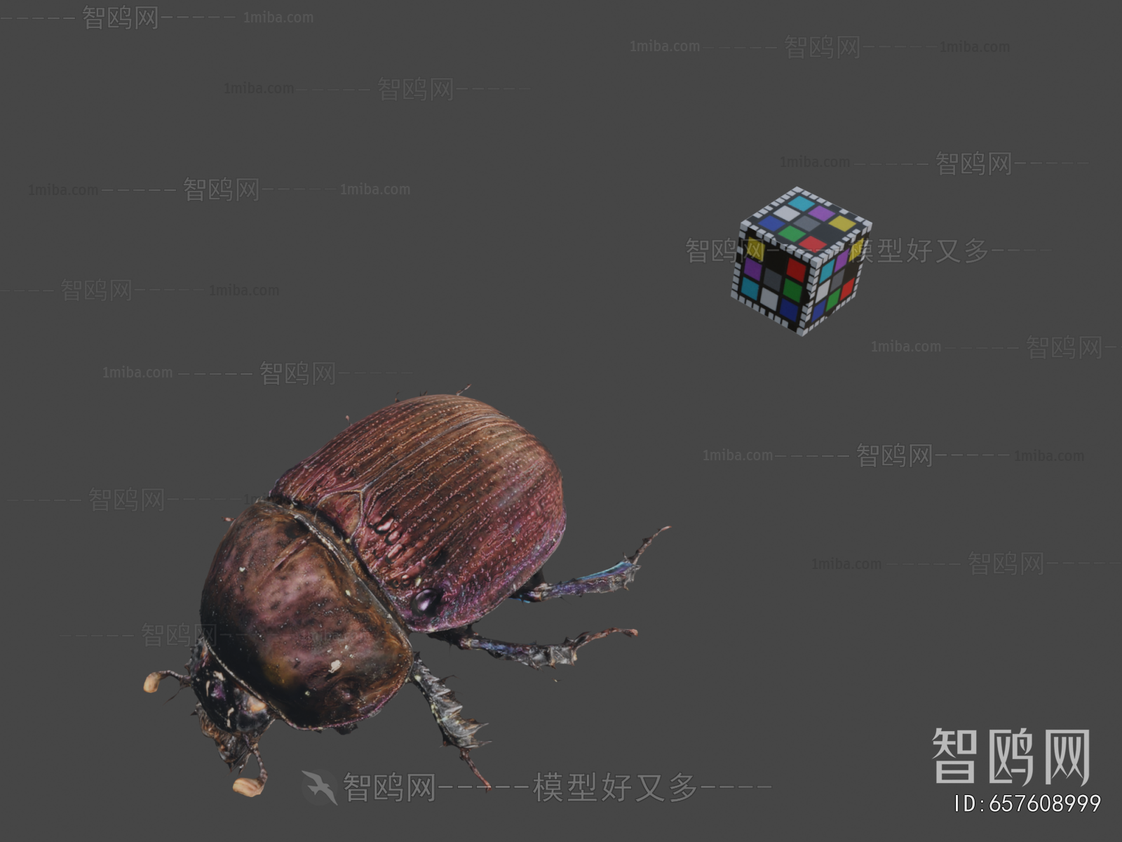 Modern Flying Animals