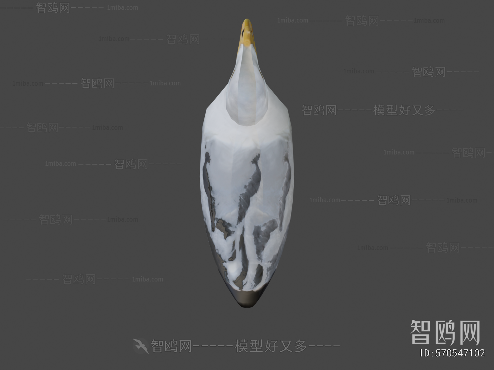 Modern Flying Animals