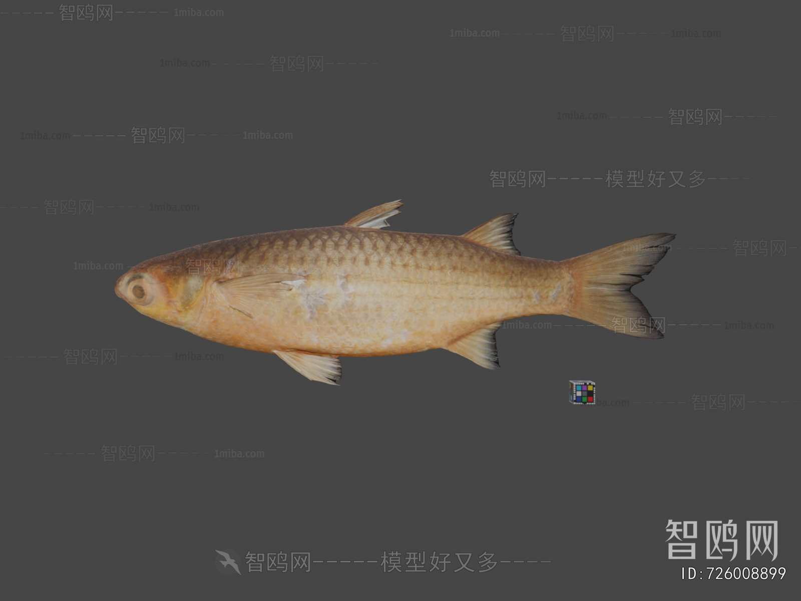 Modern Aquatic Animals