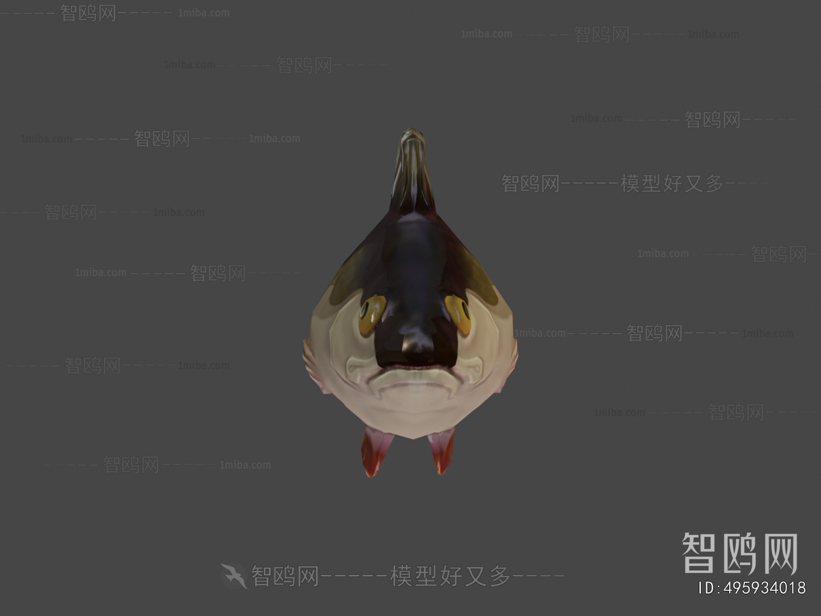 Modern Aquatic Animals