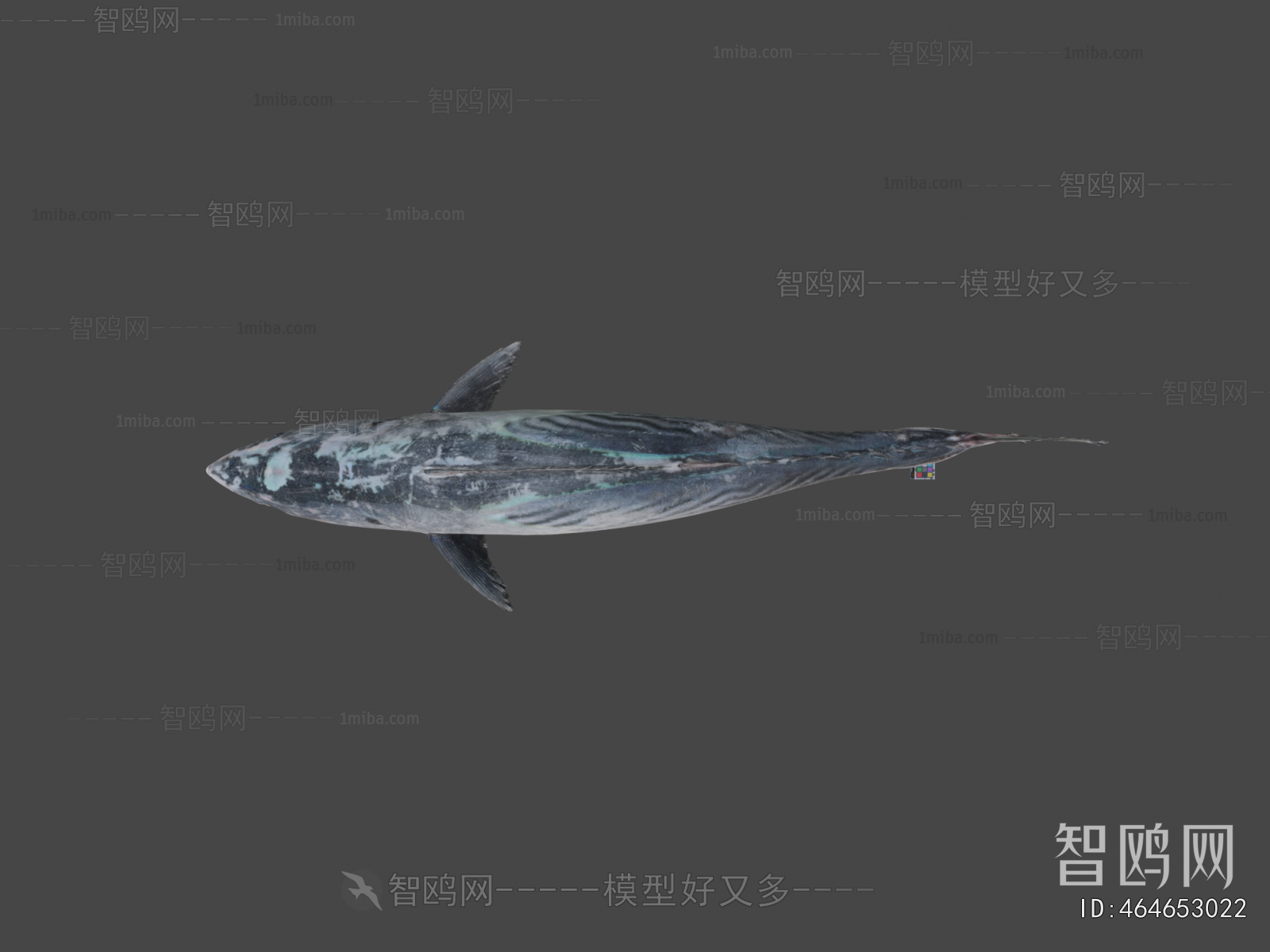 Modern Aquatic Animals