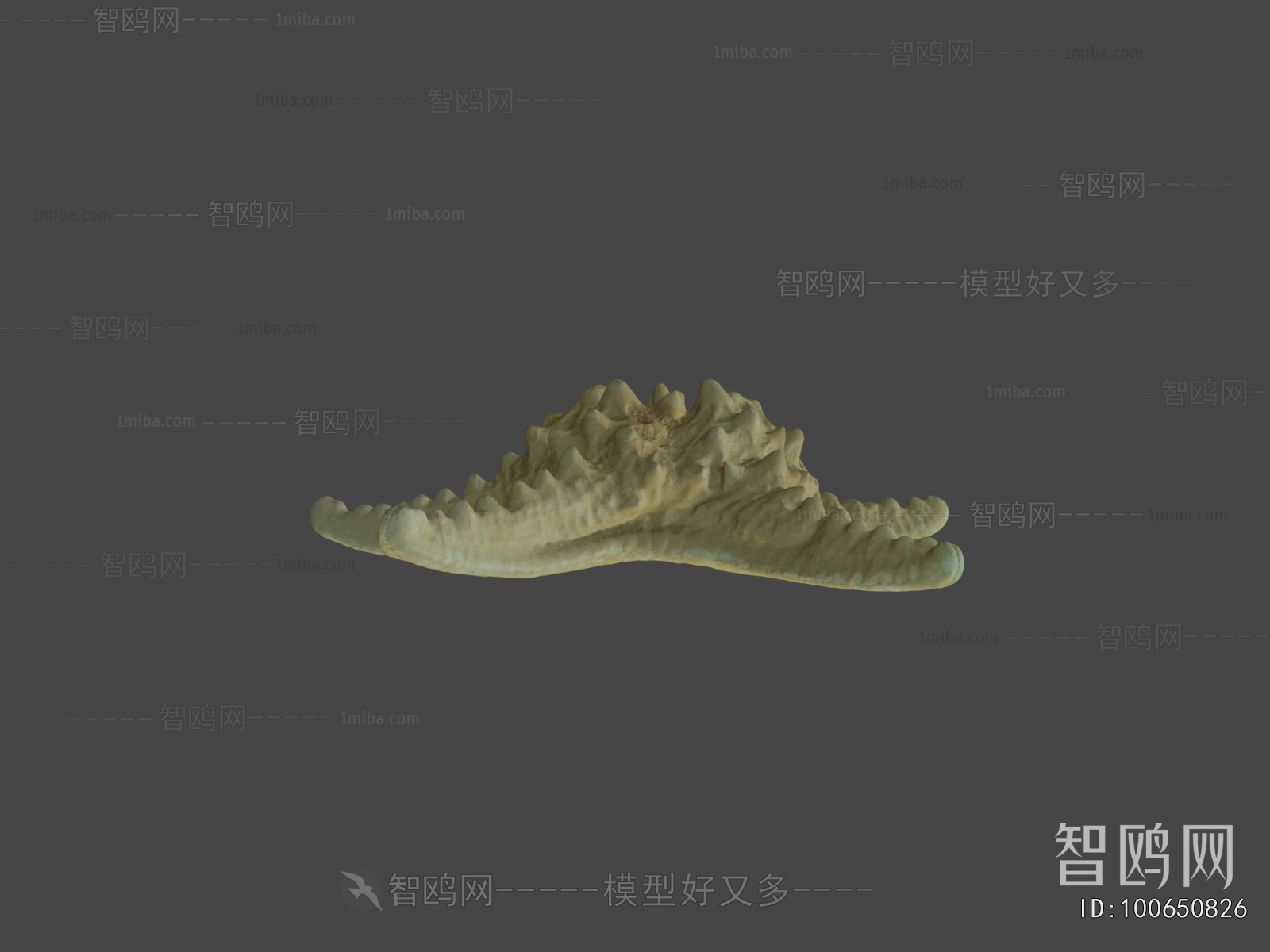 Modern Aquatic Animals