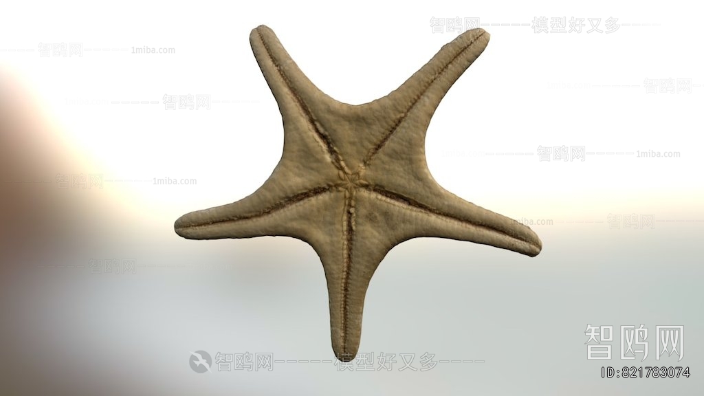 Modern Aquatic Animals