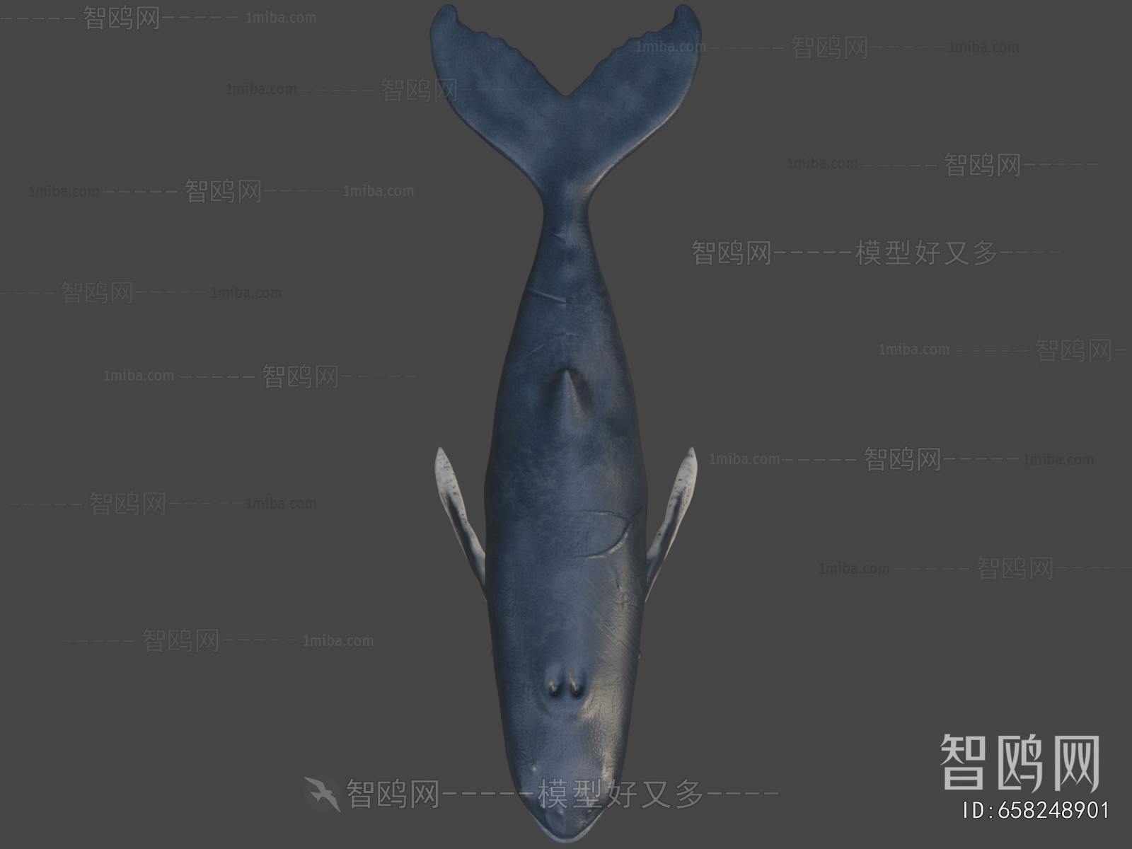 Modern Aquatic Animals