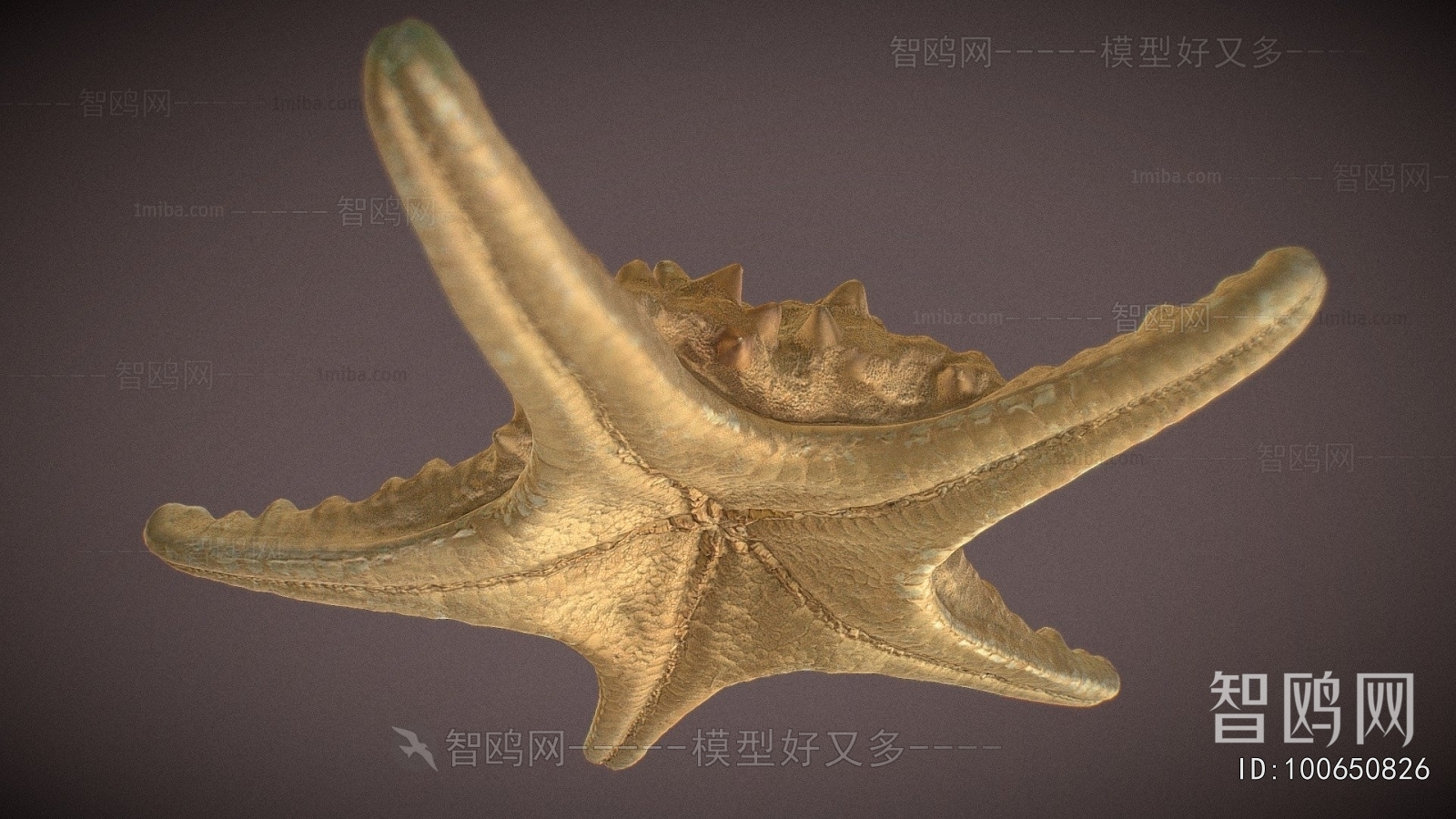 Modern Aquatic Animals