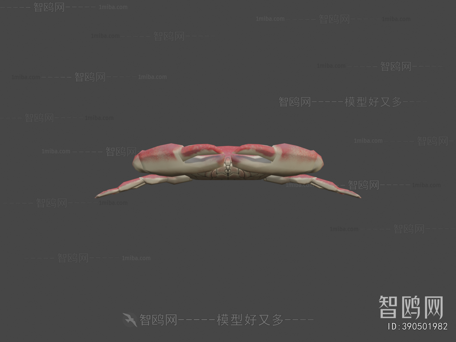 Modern Aquatic Animals