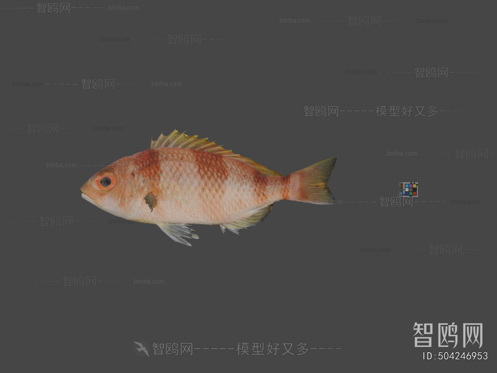 Modern Aquatic Animals