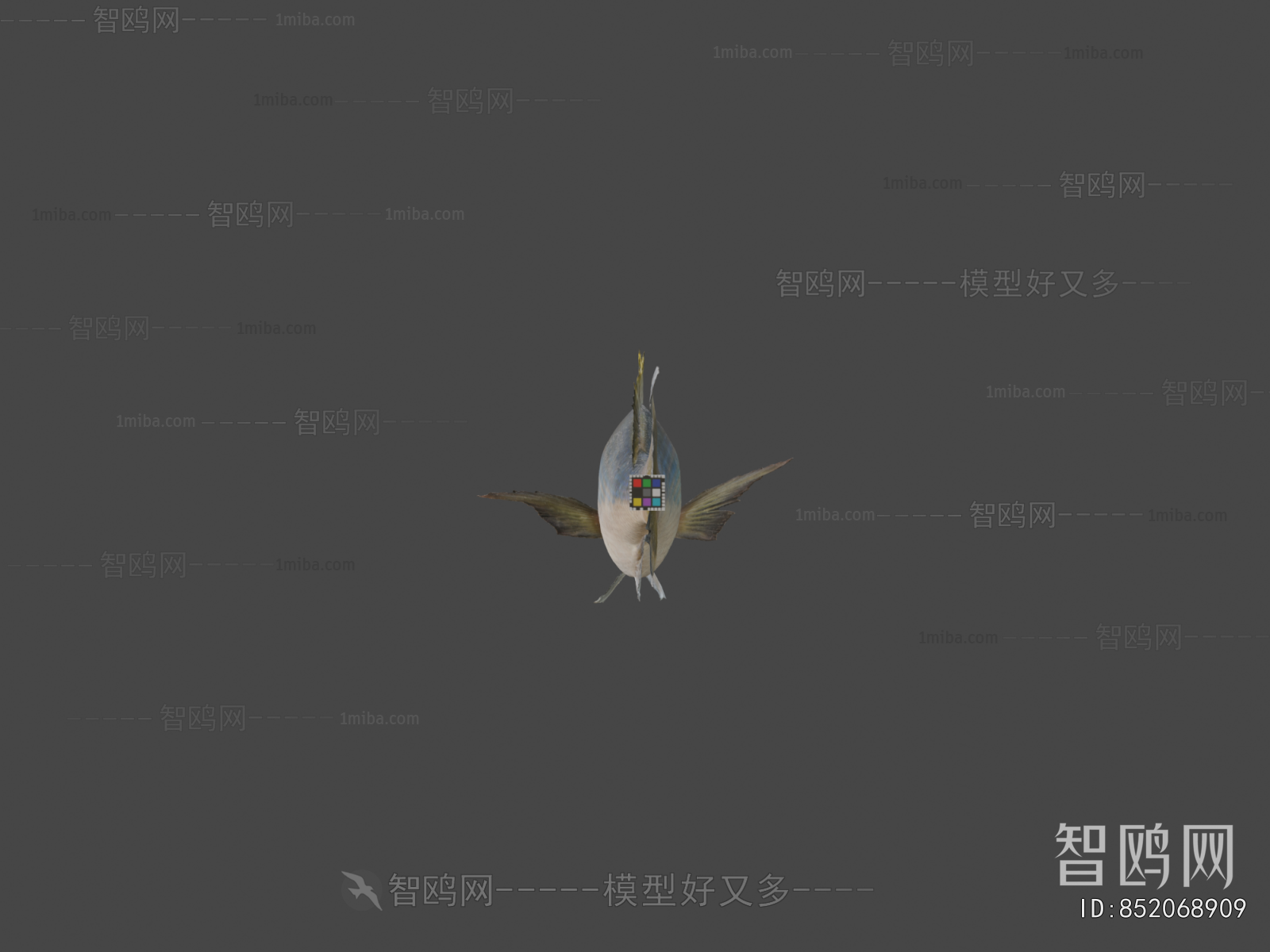 Modern Aquatic Animals