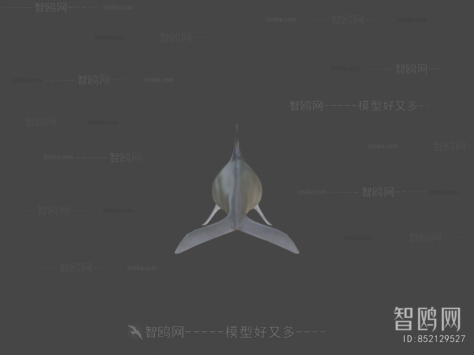 Modern Aquatic Animals