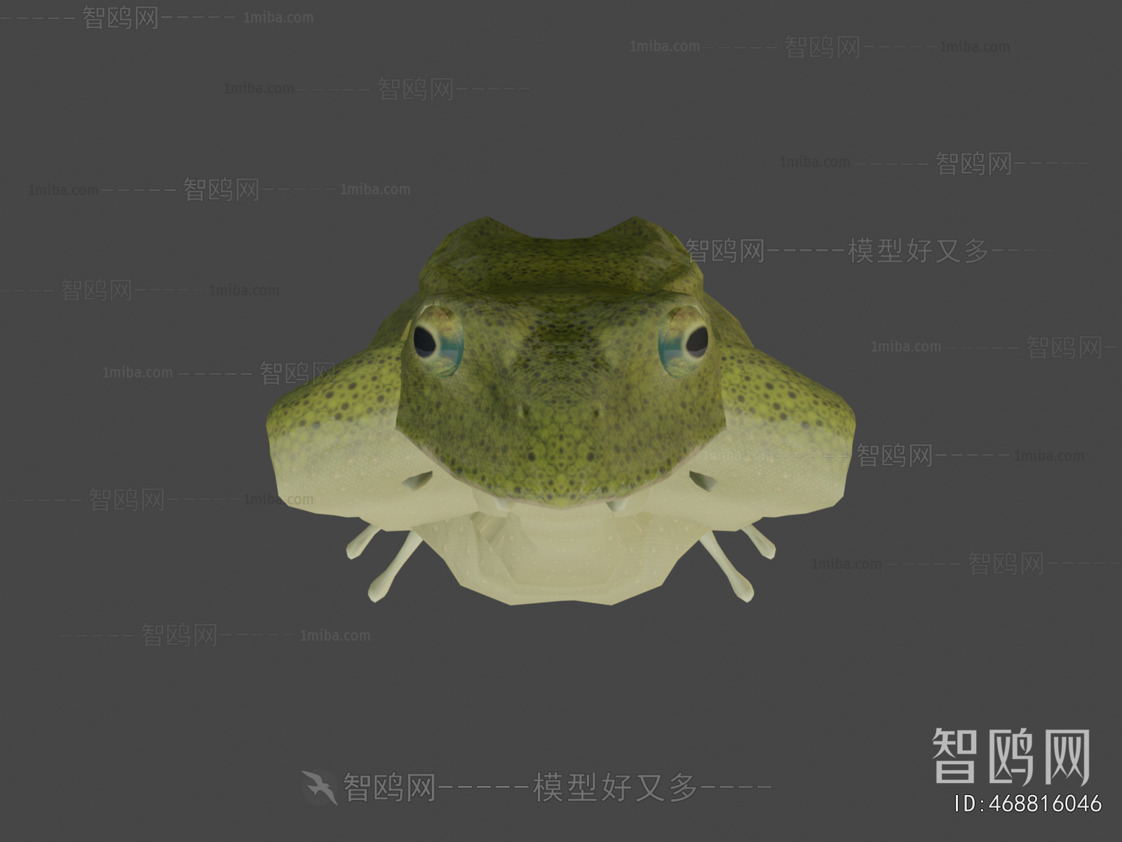 Modern Aquatic Animals