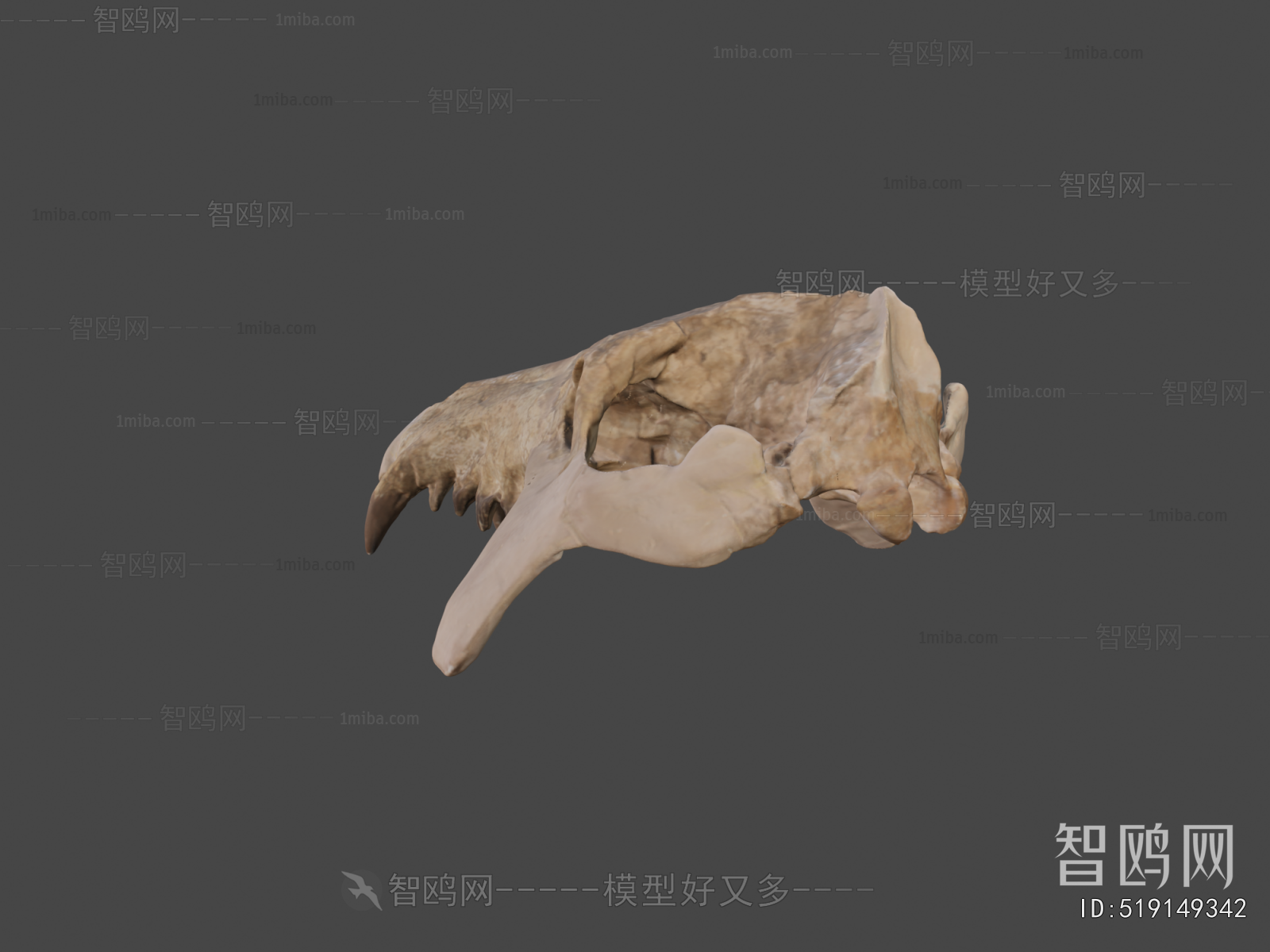 Modern Animal