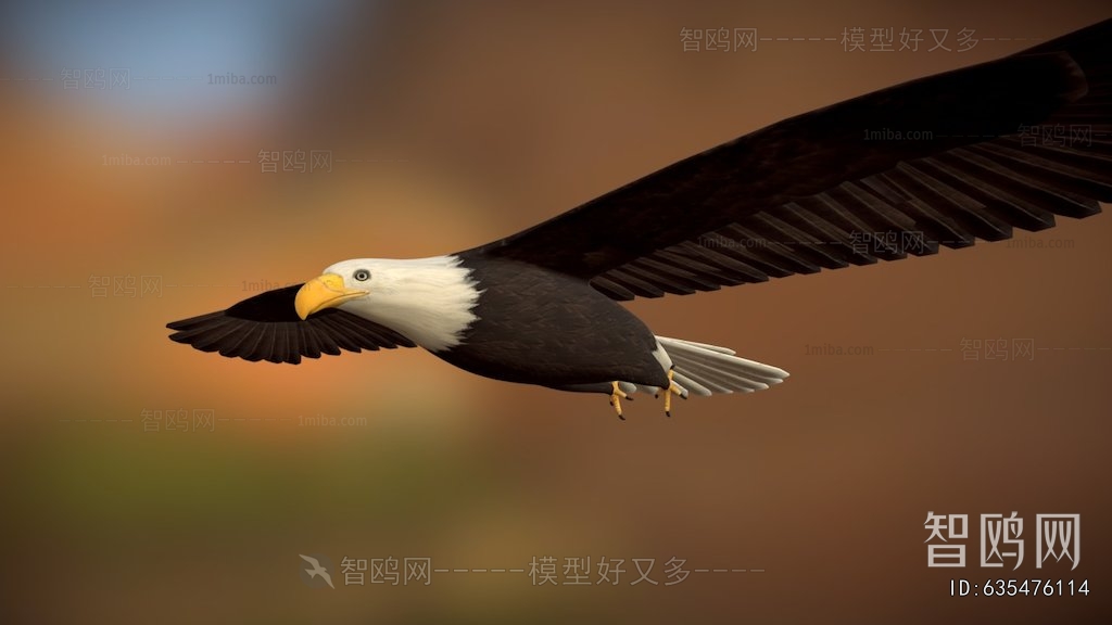 Modern Flying Animals