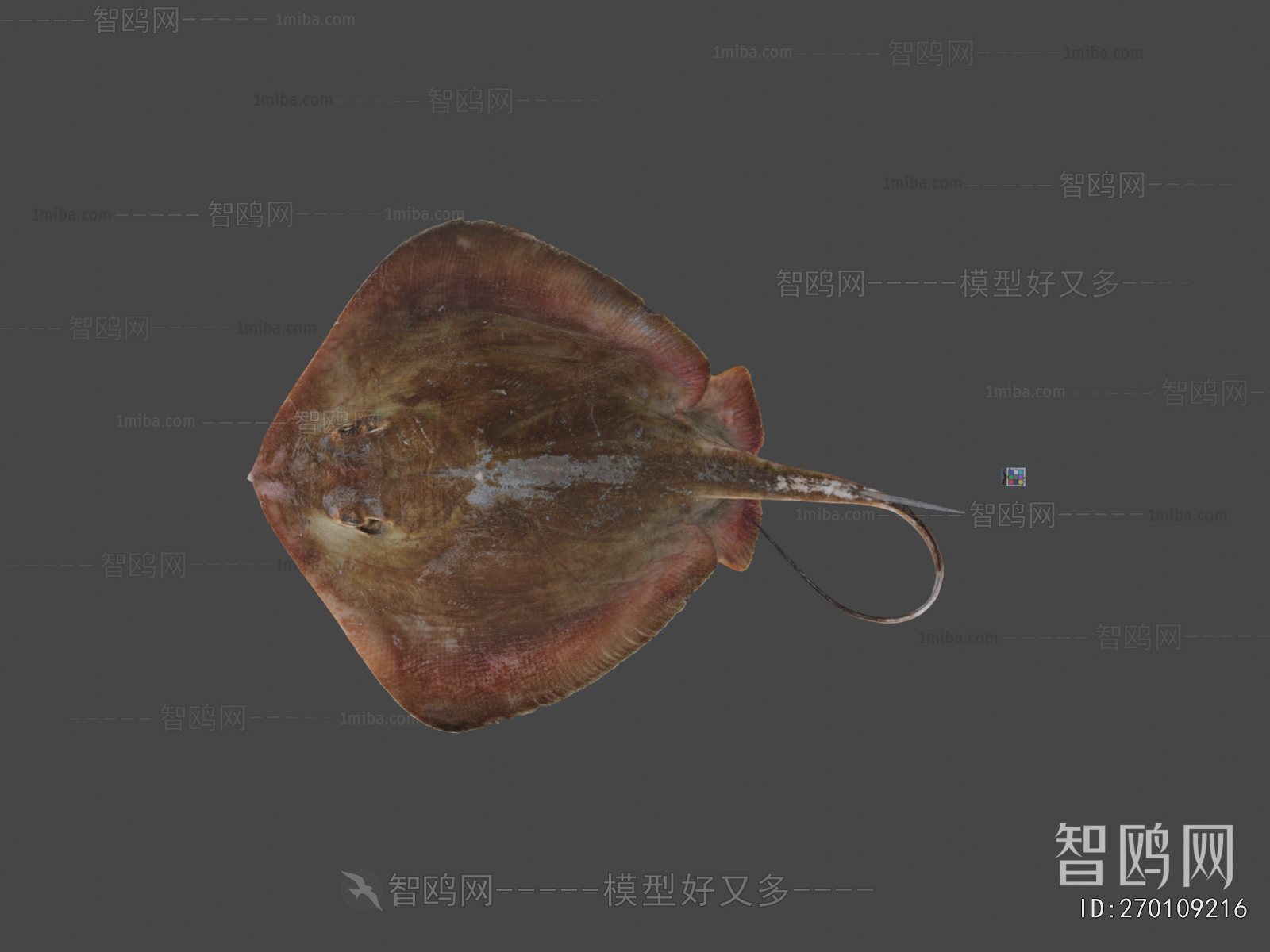 Modern Aquatic Animals